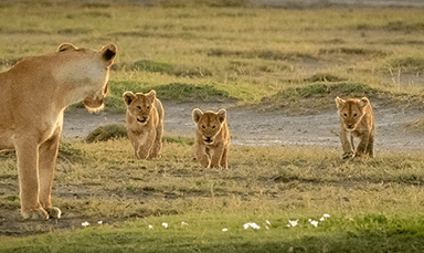 Featured Travel Tour - Andavo Travel